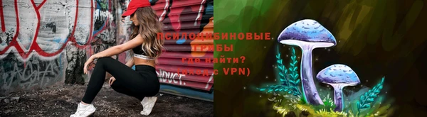 прущие грибы Покачи