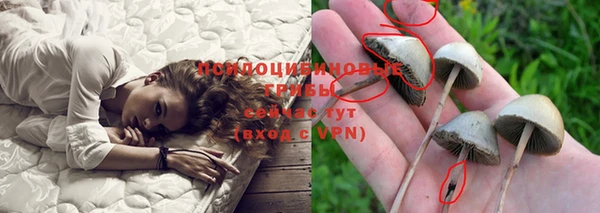 трава Приозерск