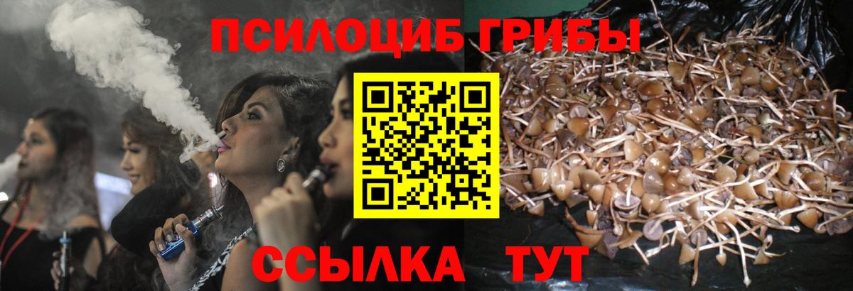 Галлюциногенные грибы Psilocybe  Вход с VPN  Псилоцибиновые грибы Psilocybe  Россошь 